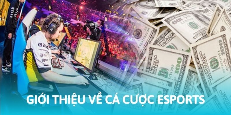 Đôi nét về hình thức cá cược Esports BL555