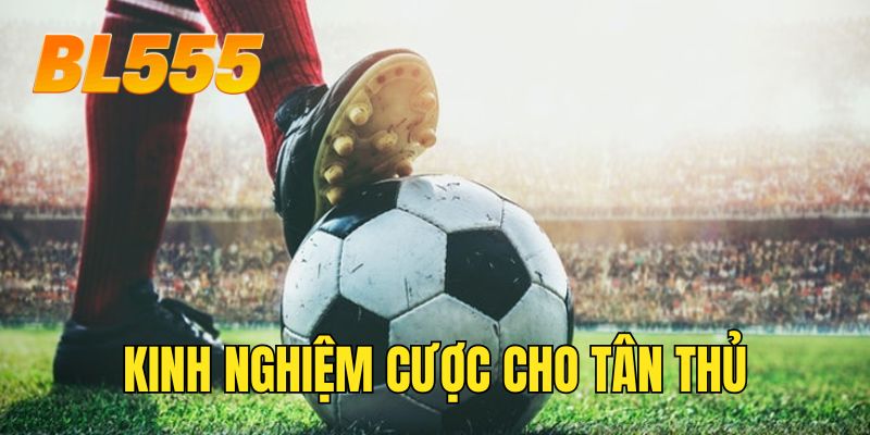 Kinh nghiệm cược cho tân thủ